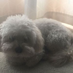 Meet your Posher, Froylan